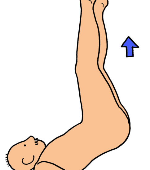 腹筋の筋力強化（下肢の挙上運動）