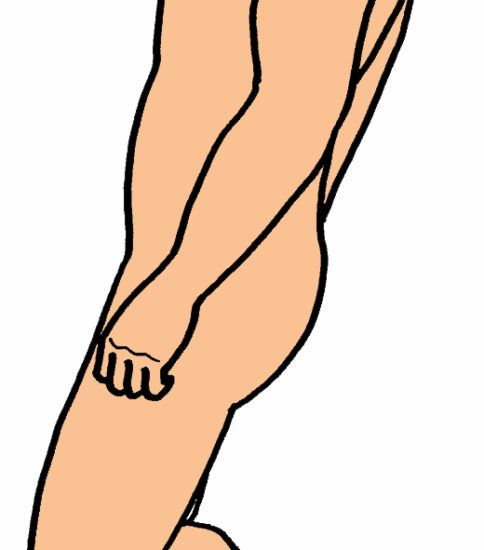 スクワットの変法　～膝関節主導型と股関節主導型～