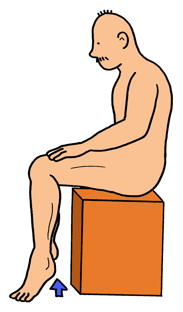 カーフレイズ 足関節底屈運動 座位バージョン すぐに使える リハビリのイラスト集