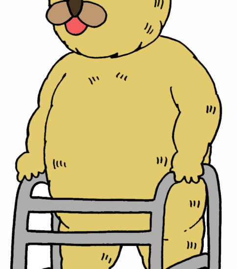 歩行器 すぐに使える リハビリのイラスト集