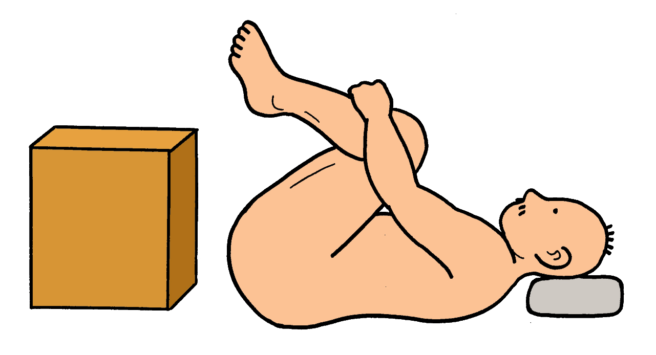 腰部脊柱管狭窄症の運動療法イラスト すぐに使える リハビリのイラスト集