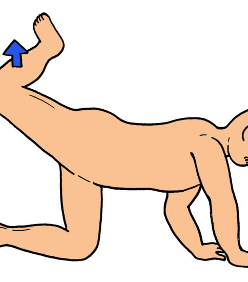大臀筋の筋力強化（四つ這いで股関節伸展運動）