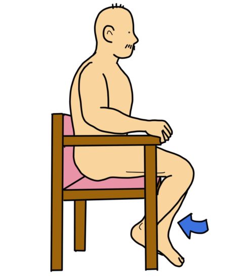 膝関節 すぐに使える リハビリのイラスト集