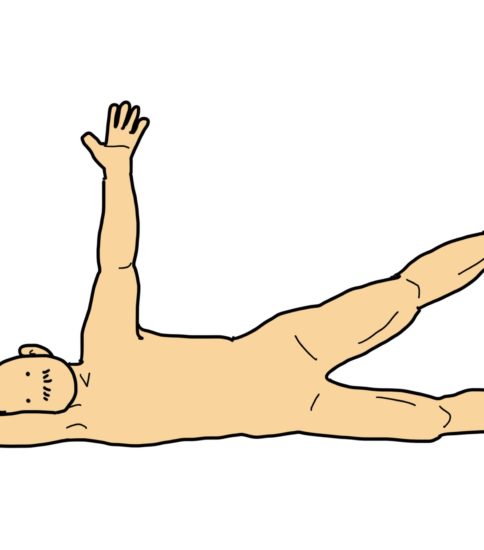 理学療法 すぐに使える リハビリのイラスト集