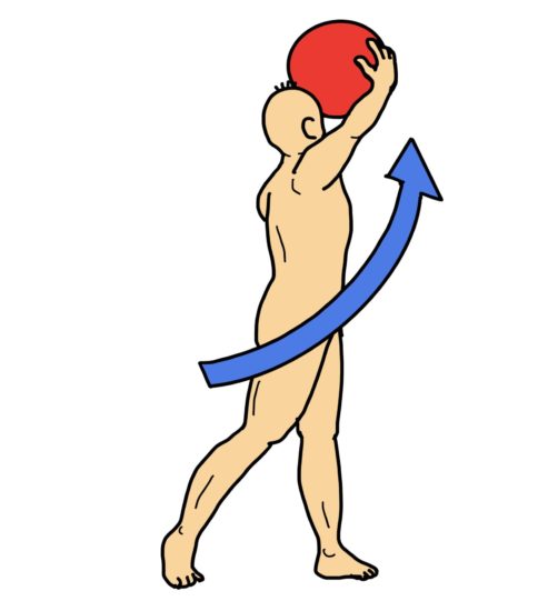 ボールを使用した体幹回旋・伸展運動