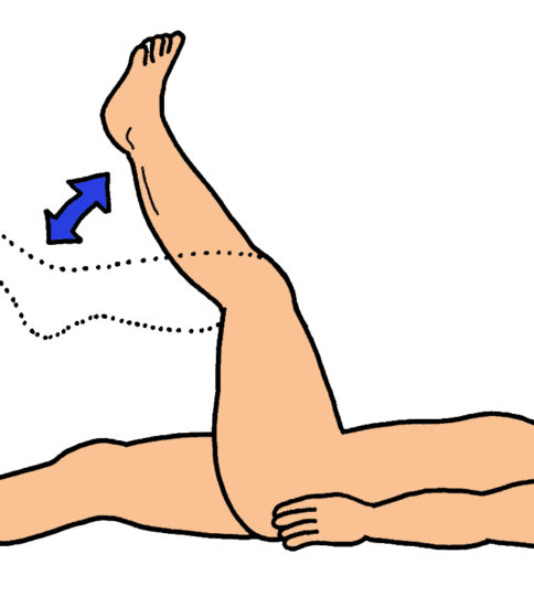 理学療法 すぐに使える リハビリのイラスト集