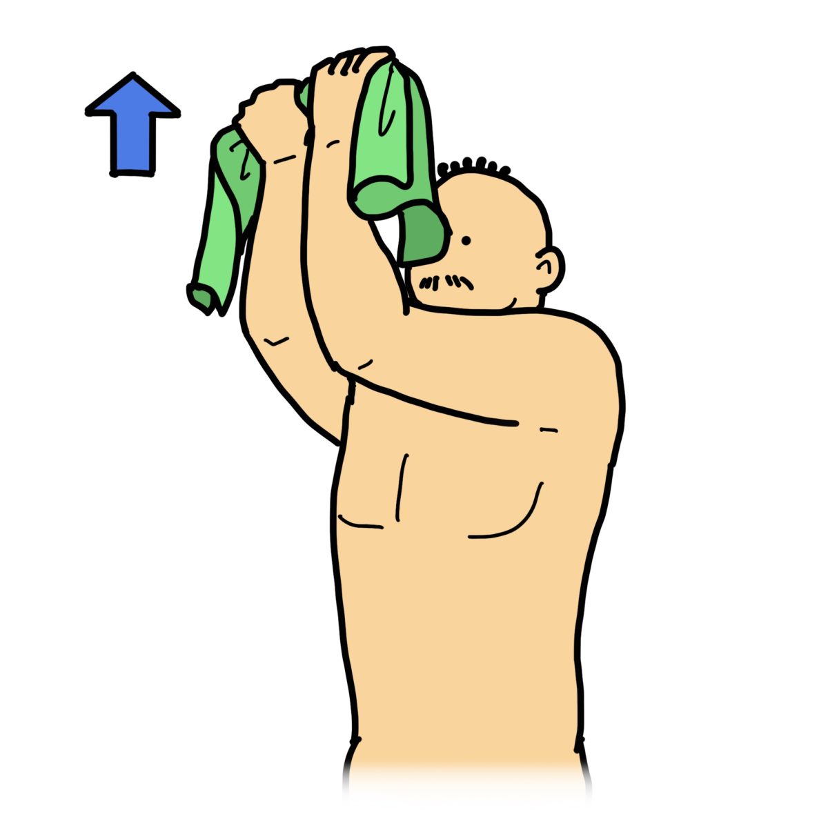 広背筋のストレッチング その1 タオルを使用 すぐに使える リハビリのイラスト集