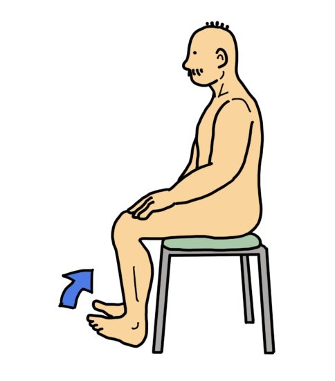 足関節背屈（前脛骨筋等）のエクササイズ