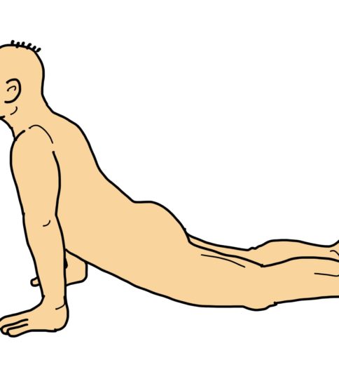 体幹の伸展運動（腹部のストレッチ）