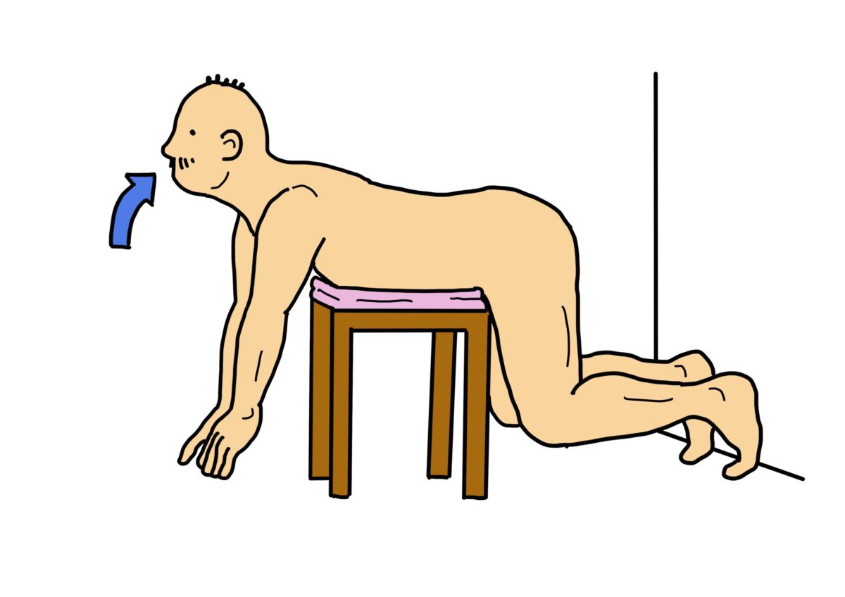 背筋の筋力トレーニング（椅子を使用）