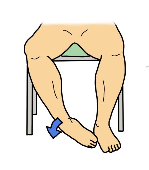 長腓骨筋、短腓骨筋、第3腓骨筋等のストレッチ