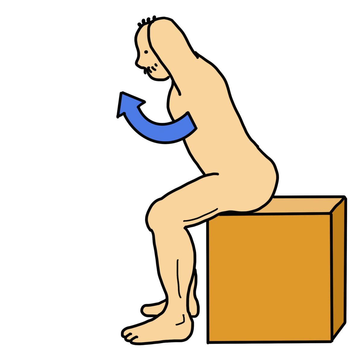 背筋の筋力強化（座って行える、高齢者向きプログラム）