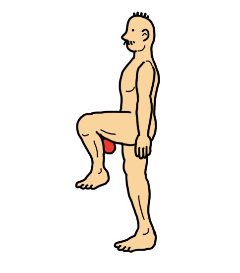 腸腰筋エクササイズ〜膝を屈曲して股関節の屈曲運動〜