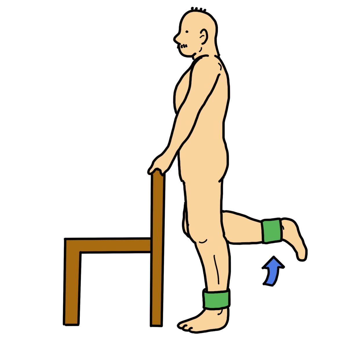 膝関節屈筋（ハムストリングス）の筋力強化