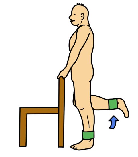 膝関節屈筋（ハムストリングス）の筋力強化