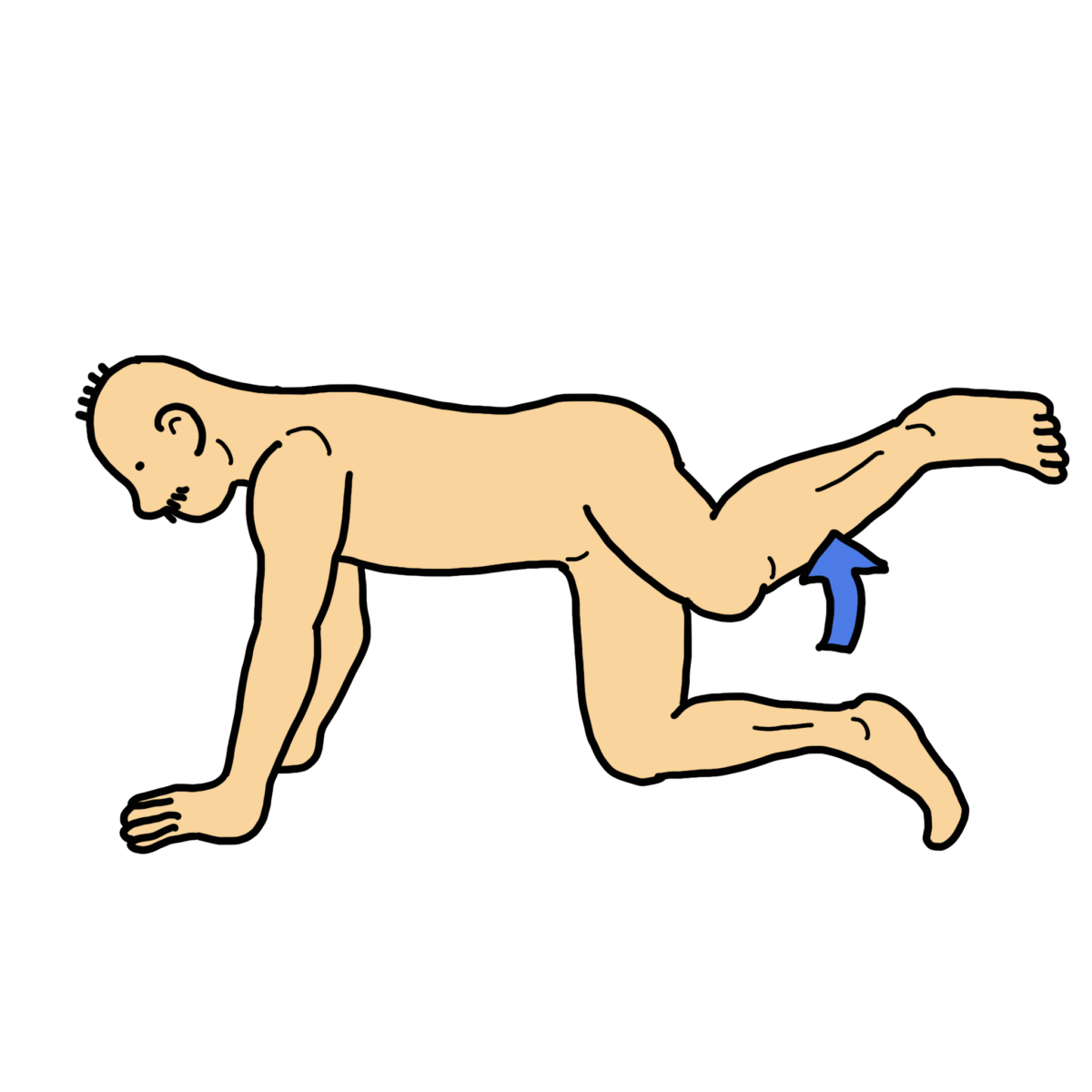 四つ這いで股関節外転エクササイズ（大臀筋、大腿筋膜張筋ex.）