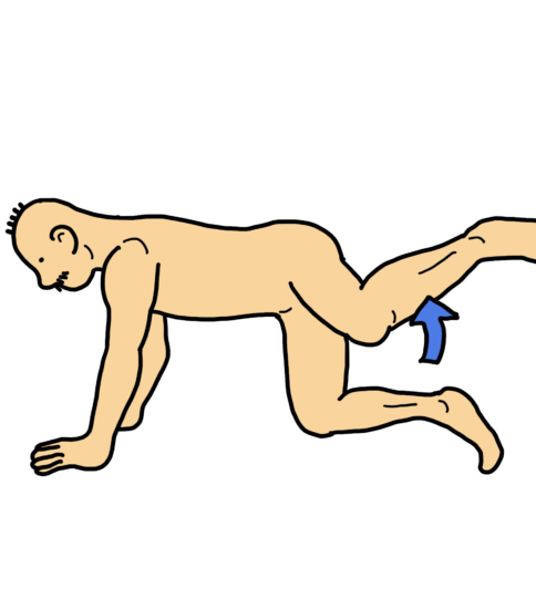 四つ這いで股関節外転エクササイズ（大臀筋、大腿筋膜張筋ex.）