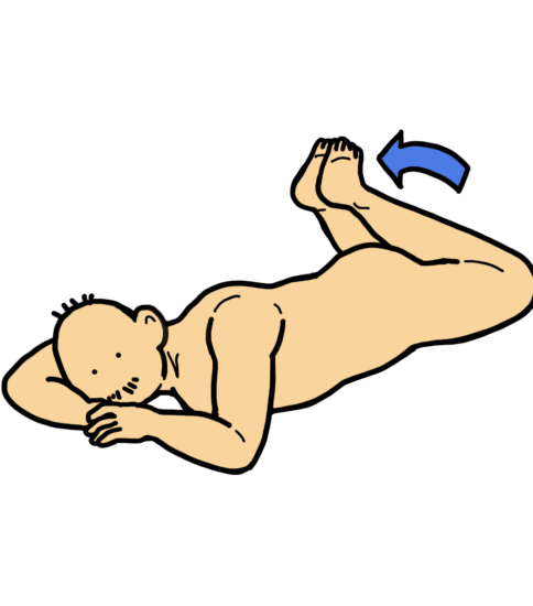 背臥位と腹臥位で下部体幹の回旋運動、その違いは？