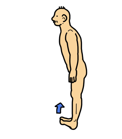 トゥ・レイズ（立位で行う前脛骨筋のエクササイズ）