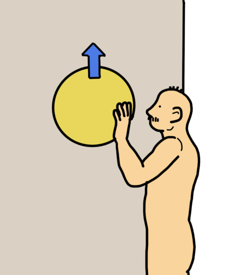 バランスボールを使用した肩屈曲（上肢挙上）運動