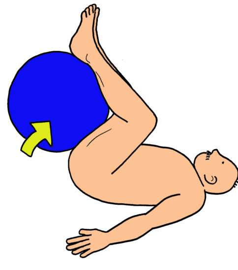 腹筋運動(バランスボールを使用)