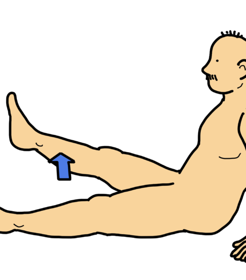 長座位で下肢挙上