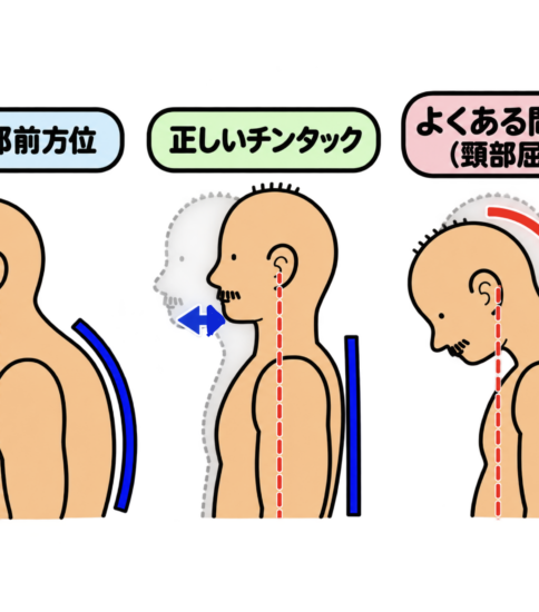チンタックとチンインの違いとは？  ―「顎を引く」の本当の意味をリハビリ視点で考える―